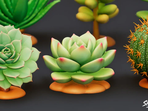 Cartoon Succulent Plants Pack 3D Model
