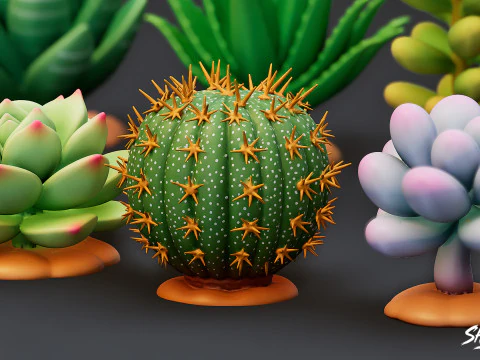 Cartoon Succulent Plants Pack 3D Model