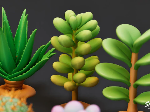 Cartoon Succulent Plants Pack 3D Model
