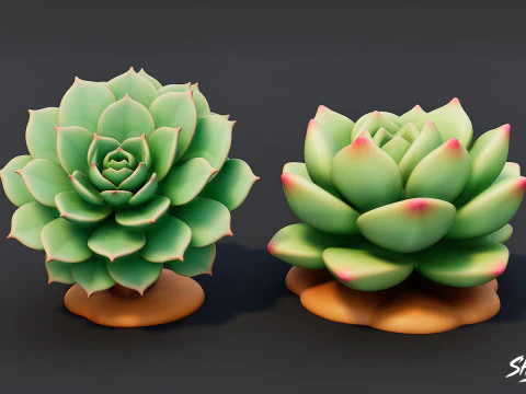 Cartoon Succulent Plants Pack 3D Model