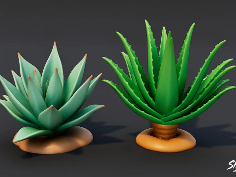 Cartoon Succulent Plants Pack 3D Model