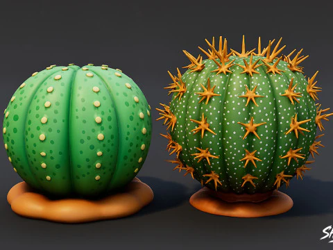 Cartoon Succulent Plants Pack 3D Model