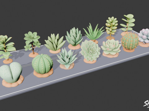 漫画の多肉植物パック 3Dモデル