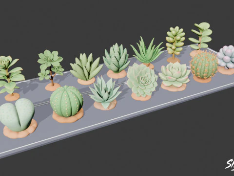 Cartoon Succulent Plants Pack 3D Model