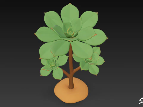 Cartoon Aeonium arboreum 3D Model