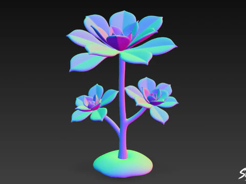 Cartoon Aeonium arboreum 3D Model
