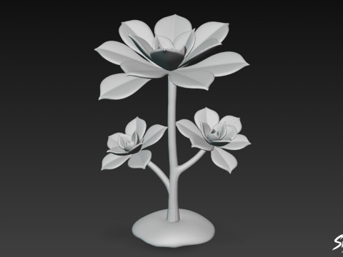 Çizgi film Aeonium ağaç bahçesi 3D Model