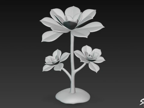 Cartoon Aeonium arboreum 3D Model