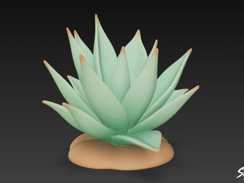 Kresk&oacute;wka agawa Model 3D