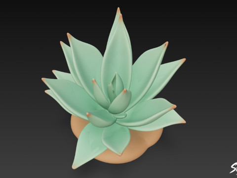 Kartun Agave Model 3D