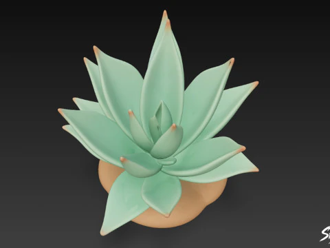 Cartoon Agave 3D Model