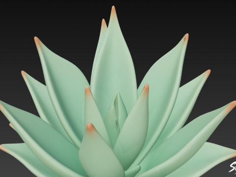 Kartun Agave Model 3D