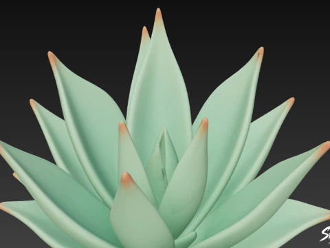 Cartoon Agave 3D Model