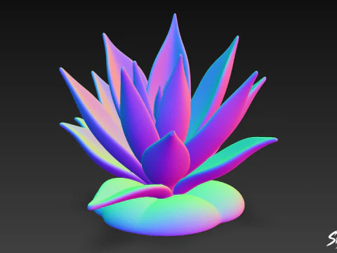 Cartoon Agave 3D Model