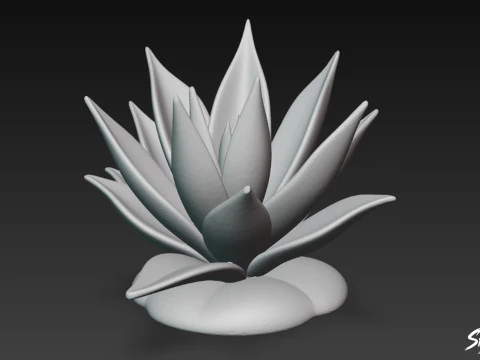 Cartoon Agave 3D Model