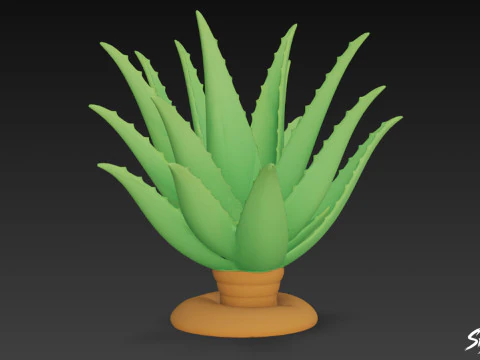 Karikat&uuml;r Aloe 3D Model
