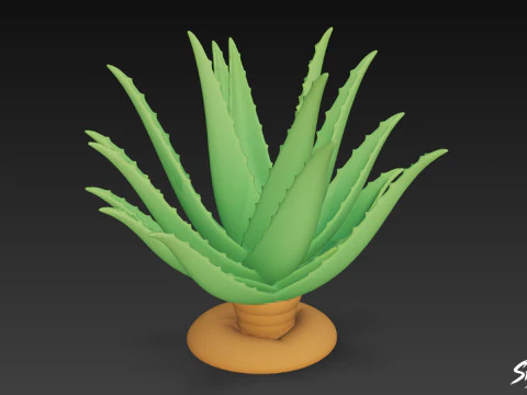 Cartoon-Aloe 3D Modell
