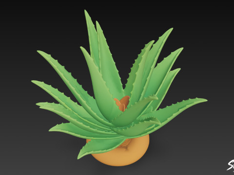 Áloe de dibujos animados Modelo 3D
