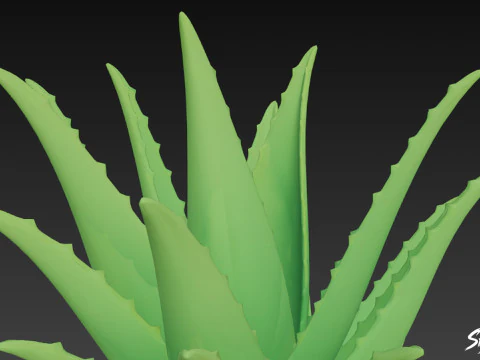 Cartoon-Aloe 3D Modell
