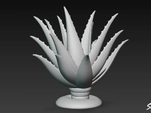 Cartoon-Aloe 3D Modell