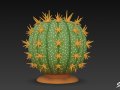 Cartoon Cactus 3Dモデル