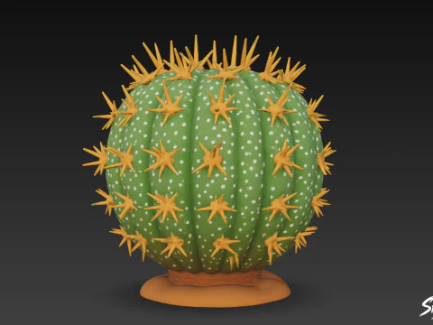 Cartoon Cactus 3D Model