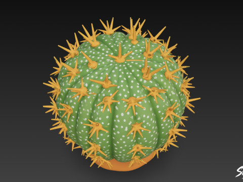 Kreskówka kaktus Model 3D