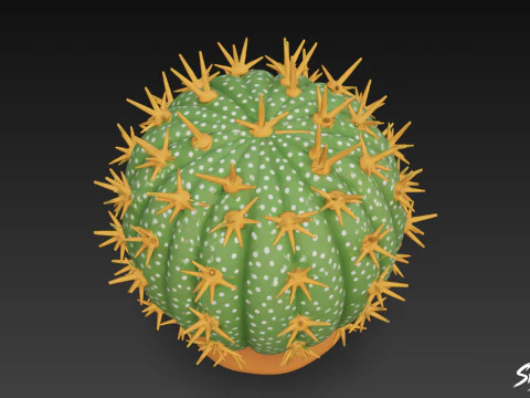 Cartoon Cactus 3D Model