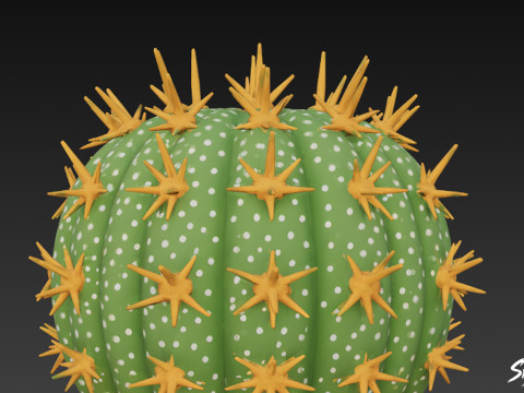 Kreskówka kaktus Model 3D