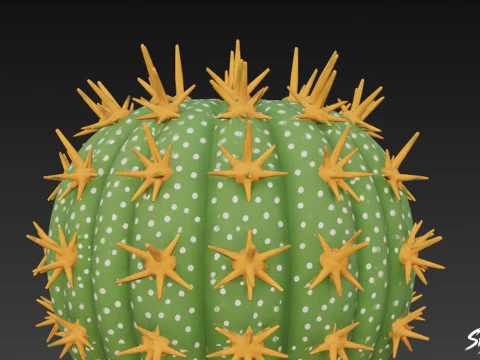 Cartoon Cactus 3D Model