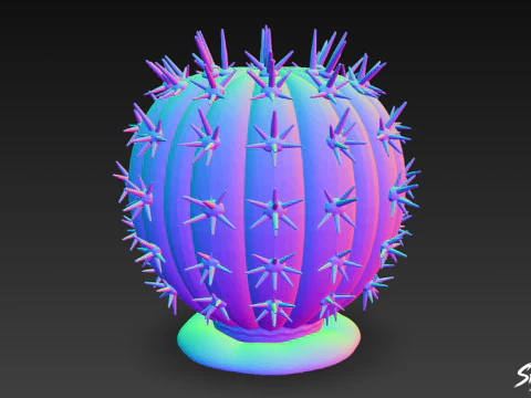 Cartoon Cactus 3D Model