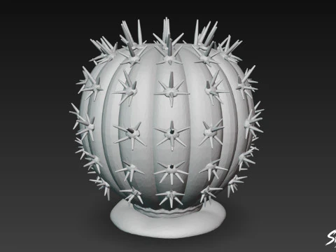 Cartoon Cactus 3D Model