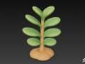 Cartoon Crassula ovata 3Dモデル