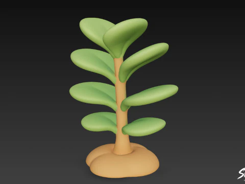 Cartoon Crassula ovata 3D Model