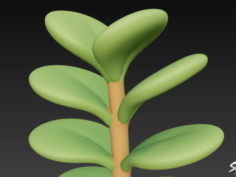 Cartoon Crassula ovata 3D Model