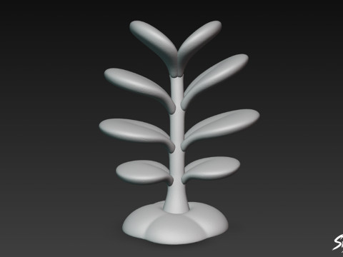 만화 Crassula ovata 3D 모델