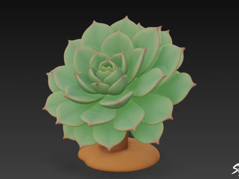 Cartoon Echeveria 3D Model
