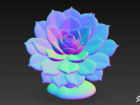 Cartoon Echeveria 3D Model