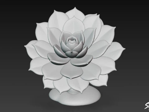 Cartoon Echeveria 3D Model