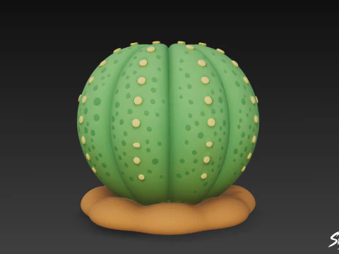 Dibujos animados de Euphorbia obesa Modelo 3D