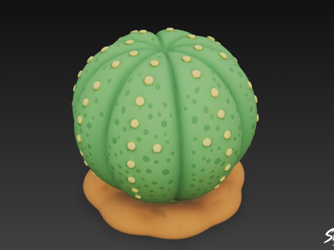 Dibujos animados de Euphorbia obesa Modelo 3D