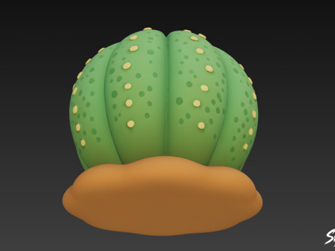 Dibujos animados de Euphorbia obesa Modelo 3D