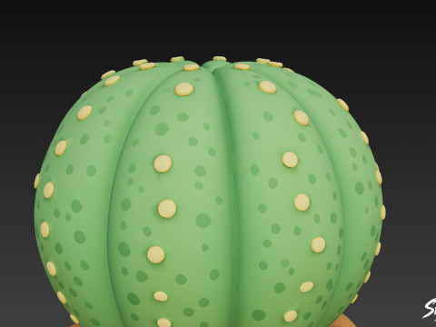 Dibujos animados de Euphorbia obesa Modelo 3D