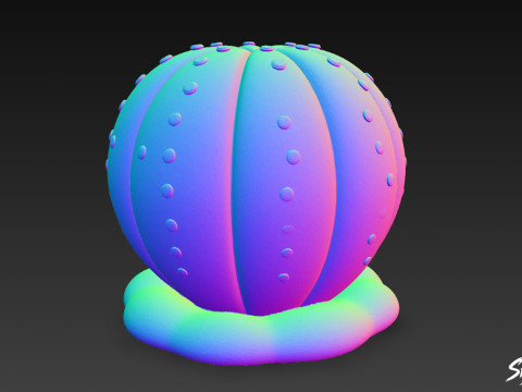 Dibujos animados de Euphorbia obesa Modelo 3D