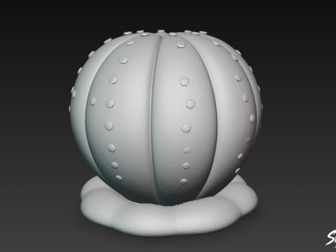 Dibujos animados de Euphorbia obesa Modelo 3D