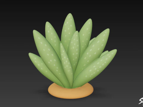 Cartoon Gasteria 3D Model