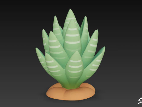 Cartoon Haworthia 3D Model