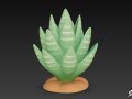 Cartoon Haworthia 3Dモデル
