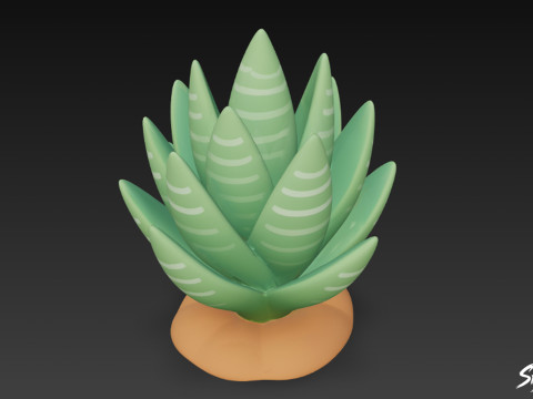 Haworthia de dibujos animados Modelo 3D