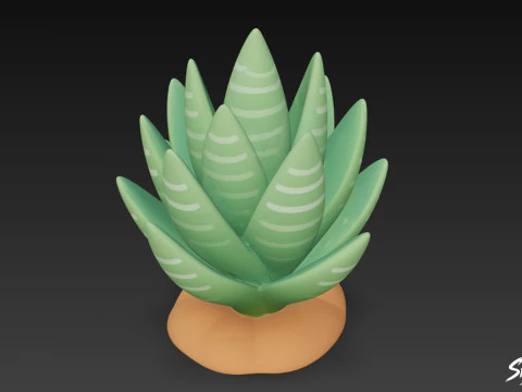 Cartoon Haworthia 3D Model